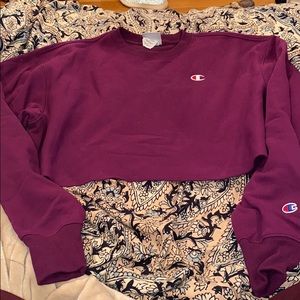 URBAN OUTFITTERS CHAMPION CROPPED HOODIE